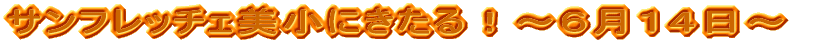 Ttb`F邪uɂI`UPS`