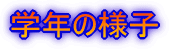 wN̗lq