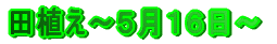 cA`TPU`